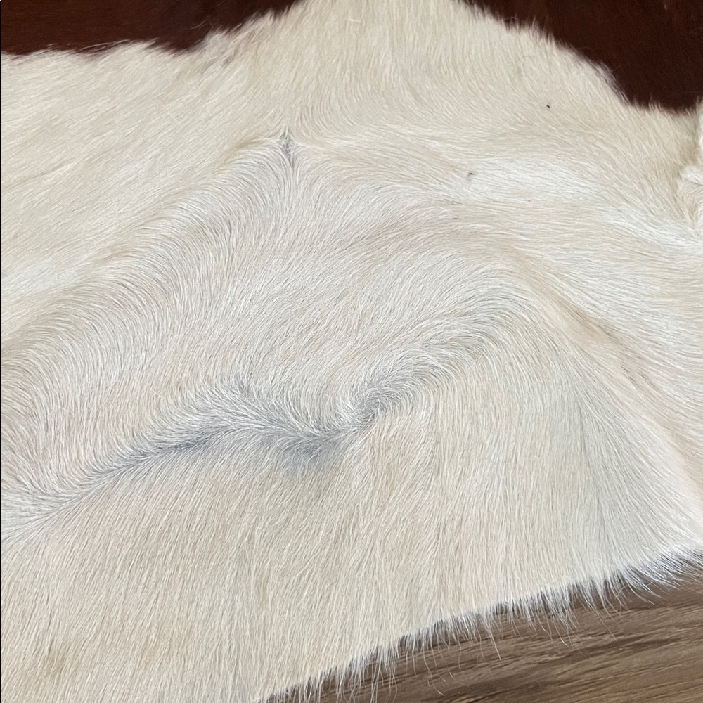 Texas Proud Cowhide Area Rug - Brown & White - Picture 3 of 8